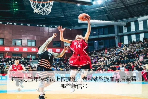 广东男篮年轻球员上位提速，老牌劲旅换血背后藏着哪些新信号