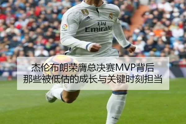 img_1781790645285_18_2_901.jpg